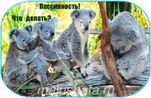 Пасивна дитина що робити, МАЛЮК пасивна