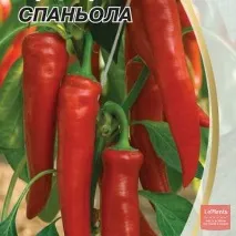 Перець