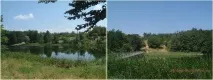 парку