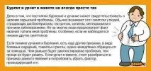 Чому бурчить у животі після їжі бурчить