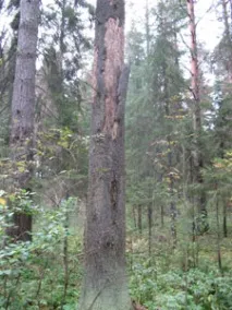 необхідно
