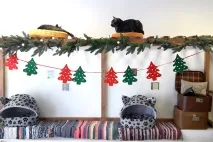 Котейна, котокафе можна