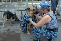 Півторарічна дівчинка зникла у Нижньосергінському районі (ФОТО) зникла