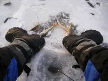 ПОВНИЙ NORFIN повний