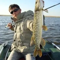 Подивися, яку щуку ловлять улітку в Краснодарському краї! Фото, відгуки подивися