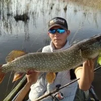 Подивися, яку щуку ловлять улітку в Краснодарському краї! Фото, відгуки подивися