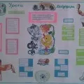 проект