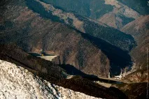 Подорож мальовничими просторами гори Борус, Сибірські багатства. борус
