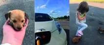 Подорож на електромобілі Nissan LEAF Україна leaf