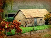 Клімат у Голландії дощі