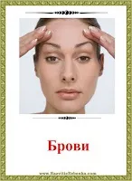 РОЗВИТОК ДИТИНИ Картки Частини тіла Людини картки