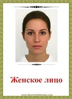 РОЗВИТОК ДИТИНИ Картки Частини тіла Людини дитини