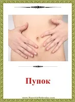 РОЗВИТОК ДИТИНИ Картки Частини тіла Людини дитини
