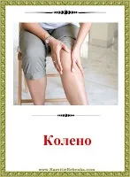 РОЗВИТОК ДИТИНИ Картки Частини тіла Людини дитини