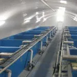 Розведення раків у домашніх умовах, ставку, акваріумі як бізнес умовах
