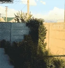 ситуації