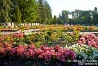 відгуки