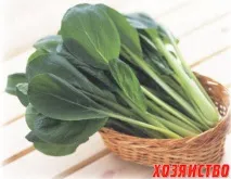 щавлю