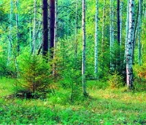 Санаторій «Руш» хвороби