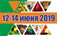 SIERTA - Ташкент, Узбекистан контакти, адреса, телефон, факс, e-mail, сайт, місцезнаходження та види узбекистан