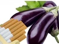 Сонячна кулінарія томат з Провансу та Іспанії, Продукти та напої, Кухня, Аргументи та Факти провансу