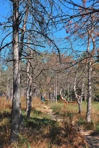 байдужість