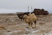 Середній Азії пророкували глобальну екологічну катастрофу Середня Азія Колишній СРСР глобальну