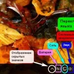 Комп’ютерна грамотність столу