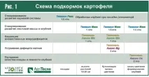 Комплексна система підживлення картоплі теорія та практика - Журнал - Картопляна система підживлення