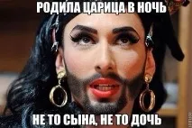 Коли у кота сили волі більше, ніж у тебе сили