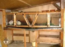 Конструкторські рішення як побудувати клітку для кроликів самотужки клітку