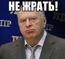 Коли у кота сили волі більше, ніж у тебе кота