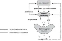 системата