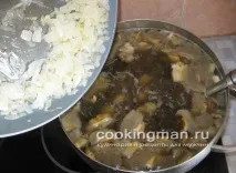 грибів