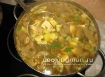 грибів