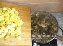 грибів