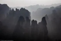 Таємничий парк Аватар, ФОТО НОВИНИ парк