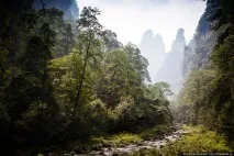 Таємничий парк Аватар, ФОТО НОВИНИ таємничий