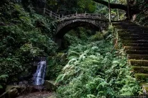 Таємничий парк Аватар, ФОТО НОВИНИ аватар