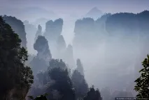 Таємничий парк Аватар, ФОТО НОВИНИ аватар
