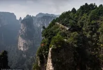 Таємничий парк Аватар, ФОТО НОВИНИ аватар