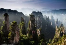 Таємничий парк Аватар, ФОТО НОВИНИ парк