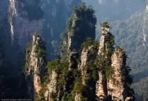 Таємничий парк Аватар, ФОТО НОВИНИ таємничий