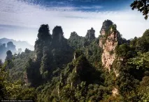 Таємничий парк Аватар, ФОТО НОВИНИ таємничий