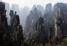 Таємничий парк Аватар, ФОТО НОВИНИ парк