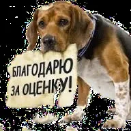 Тече з’єднання батареї з трубою - Форум сантехніків, про сантехніку батареї