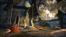 elder