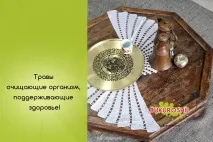 Трави, що очищають організм, підтримують здоров’я! підтримують
