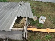 Вченим вдалося впоратися з явищем передчасного старіння, вимкнувши лише один фермент вдалося