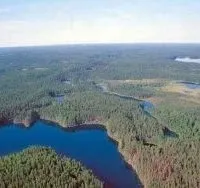 В Амурській області Україна культивуватимуть коноплі, Технічні коноплі в Україні та інших країнах. коноплі